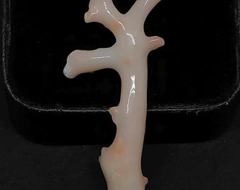 Polished Japanese White Coral Branch: Natural Gemstone Making (55mm)