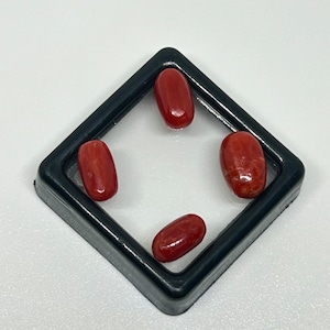 4 Stück natürliche italienische rote Koralle Cabochon-Seine echte Koralle flache Rückseite Cabochon Lot-Mittelmeer rote Koralle Cabochon Lot Edelstein-Ungefärbt