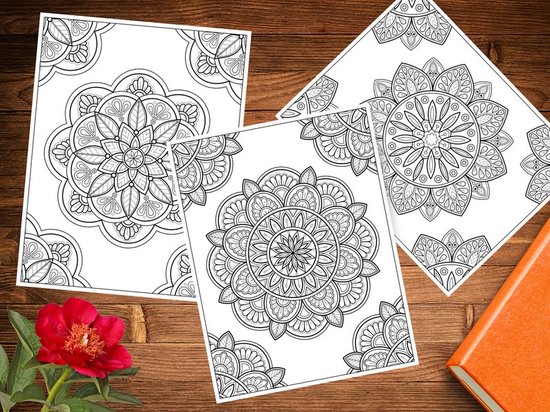 May include: Three printable coloring pages featuring intricate mandala designs. Each page has a different mandala pattern with detailed lines and swirls.