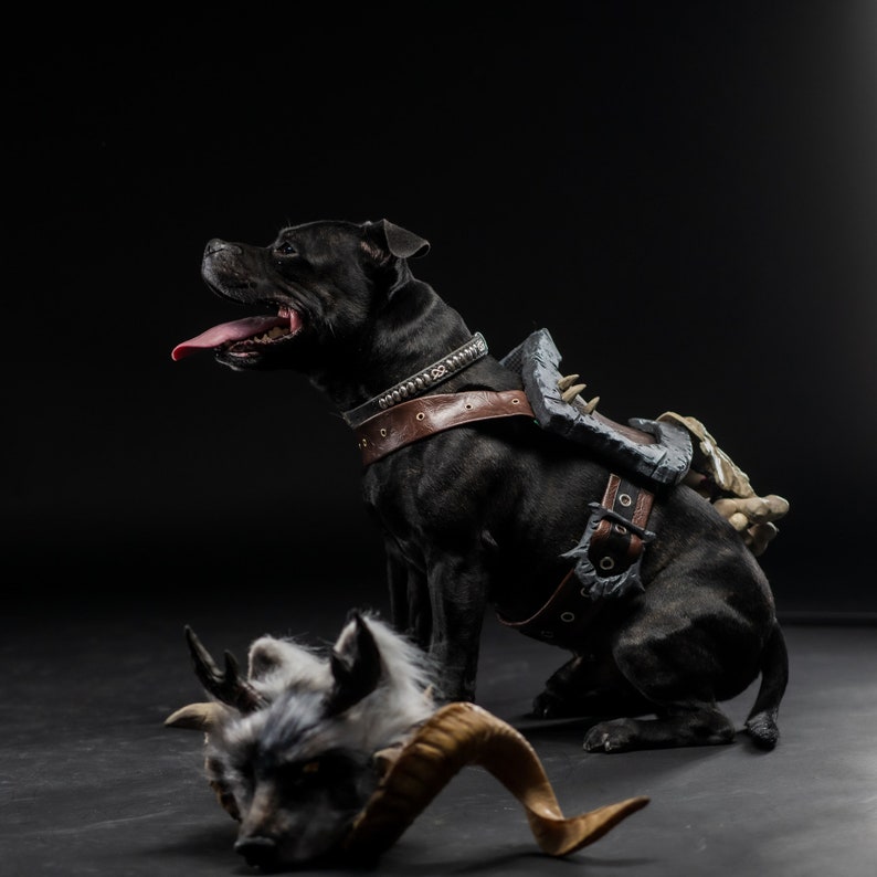 Diablo IV Druid Cosplay Dog Armor image 7