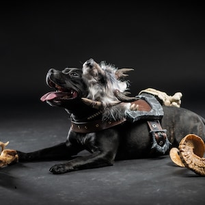 Diablo IV Druid Cosplay Dog Armor image 1