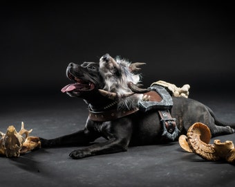 Diablo IV Druid Cosplay Dog Armor