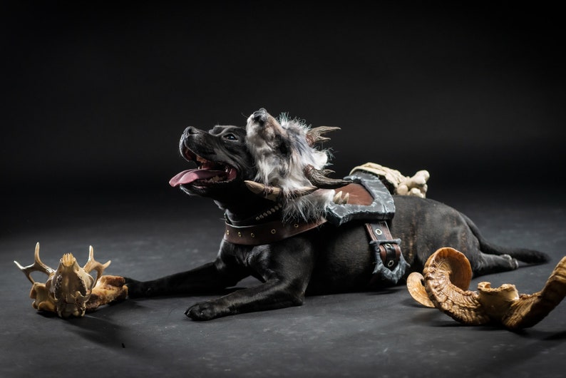 Diablo IV Druid Cosplay Dog Armor image 1