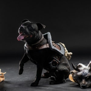 Diablo IV Druid Cosplay Dog Armor image 8