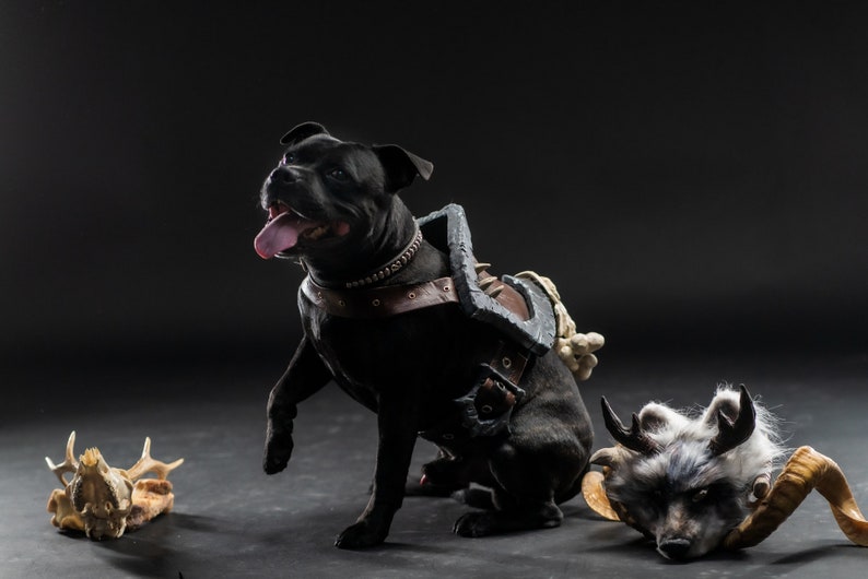 Diablo IV Druid Cosplay Dog Armor image 8