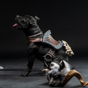 Diablo IV Druid Cosplay Dog Armor image 9