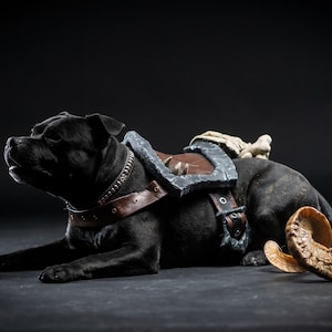 Diablo IV Druid Cosplay Dog Armor image 2