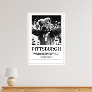 PITT PANTHER STADIUM | Digital Print