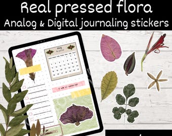 Pressed flowers and leaves PNG, real flora not altered, digital journaling elements, junk journal, scrapbooking and planner, clip art kit