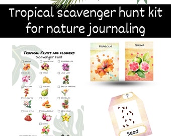Tropical scavenger hunt, nature journaling kit, summer activity for adults, eco-friendly paper crafts, printable journal cards, bright color