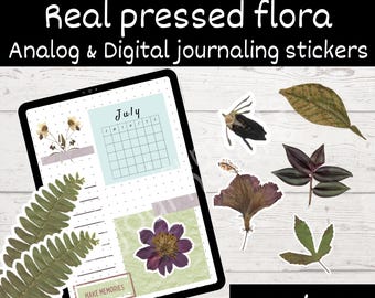 Pressed flowers and leaves PNG, real flora not altered, digital journaling elements, junk journal, scrapbooking and planner, clip art kit