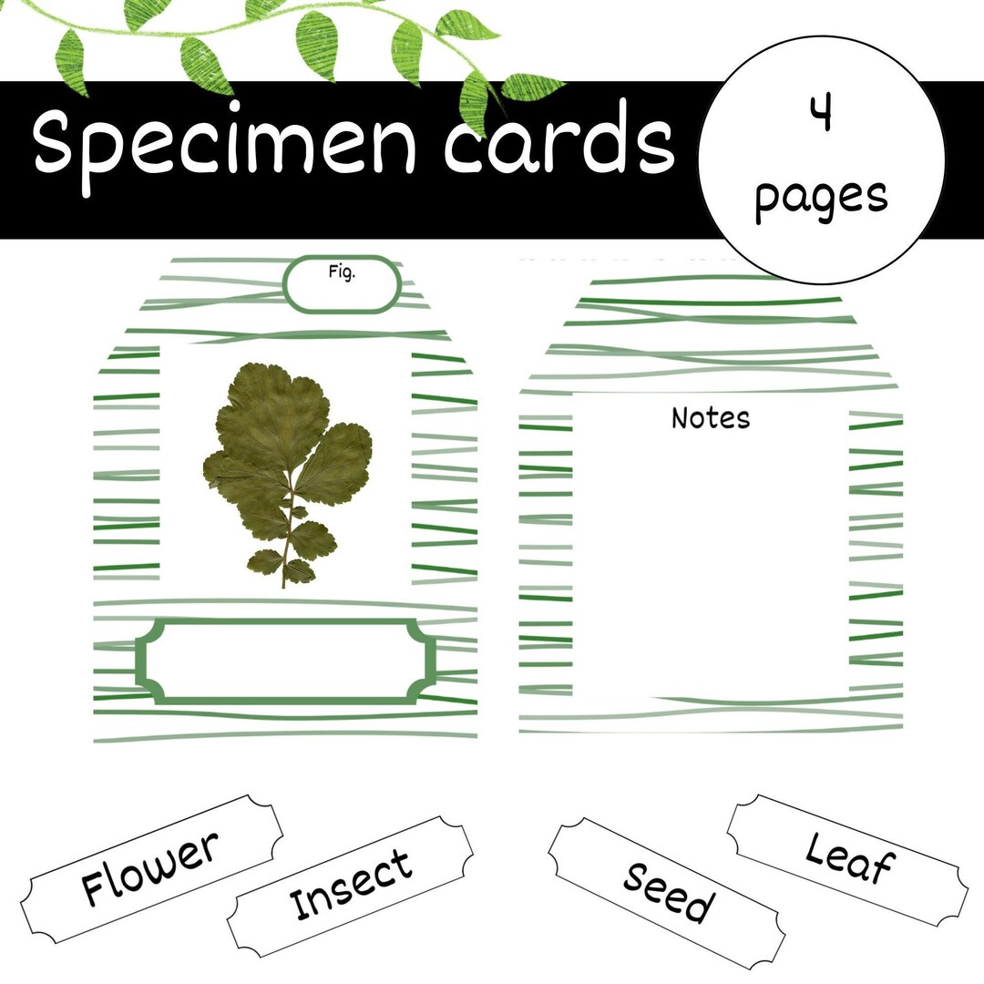 Printable Specimen Card, Botanical Slide Template, Green Journal Card, Nature Lover Crafts ...