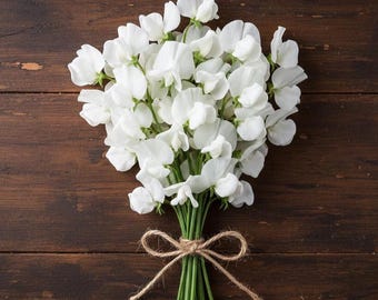 Semi di pisello odoroso Royal White - Lathyrus Odoratus profumato - Fiori recisi - Fiori di pisello odoroso intensamente profumati - 25 semi