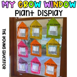 May include: A classroom window display featuring nine colourful paper houses, each with a clear plastic window and the text "My Grow Window".