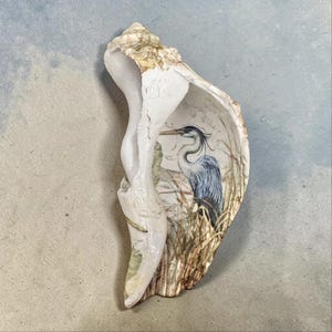 May include: A large, white seashell with a detailed painting of a blue heron standing in tall grass. The interior of the shell features the artwork, while the exterior has natural, textured patterns. The shell is a decorative item.
