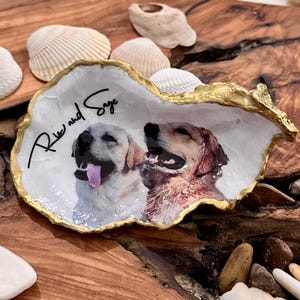 May include: A decorative oyster shell with a gold-painted edge, featuring a photo of two dogs and the handwritten text "Rio and Sage". The shell rests on a wooden surface, surrounded by seashells.
