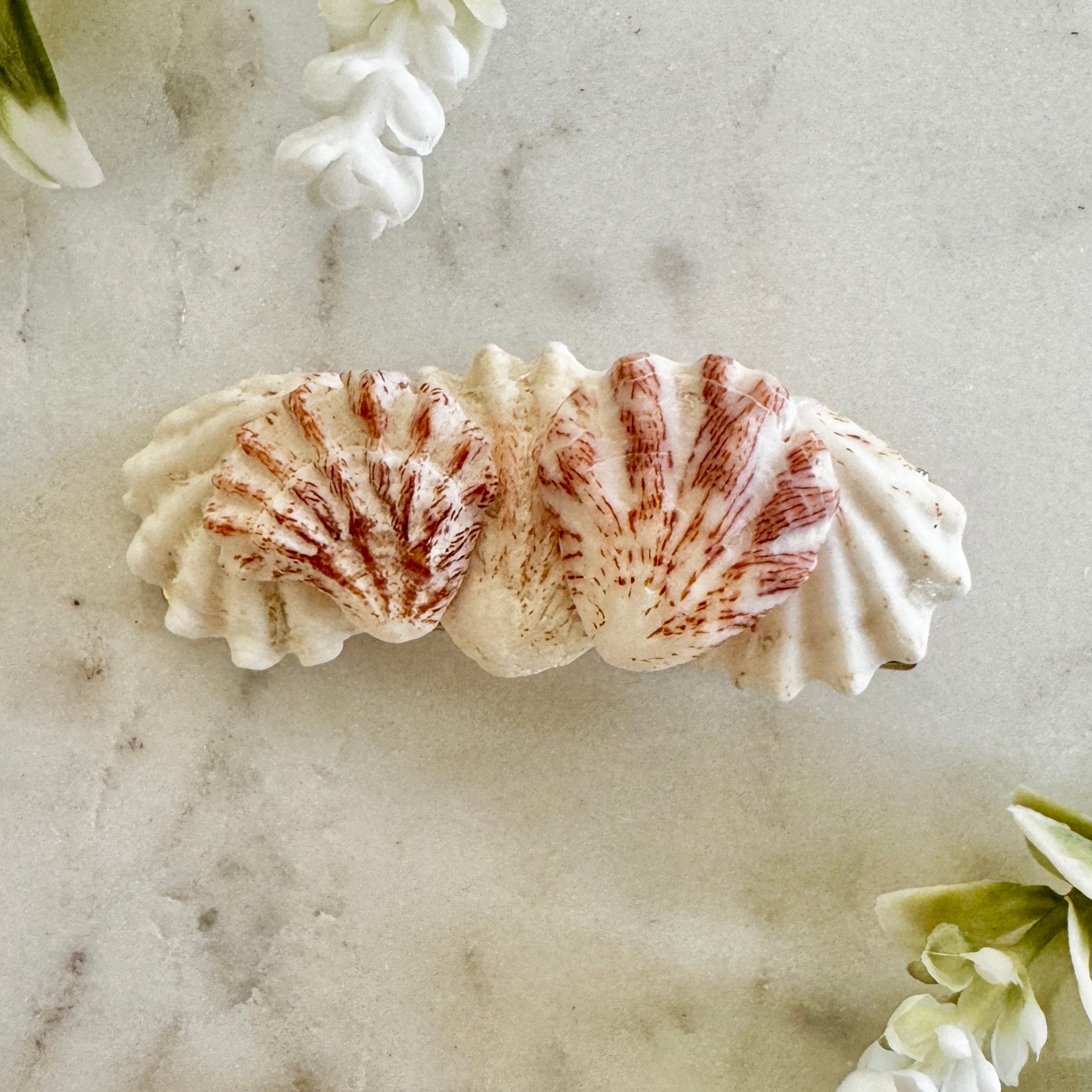 ?? ⓅⒾⓃⓀ ⓋⓈ Frosted Seashell Barrettes?? Pastel Seashell Hair Clips Trending seashell accessories  main image 4