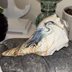 Puede incluir: Una concha grande y blanca con una ilustración detallada de una garza azul. La garza está representada con plumas azules y grises, un largo pico amarillo y está rodeada de hierba alta. La concha descansa sobre una piedra gris.