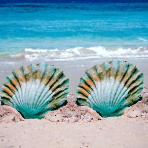 Large Silicone shells for mermaid tops