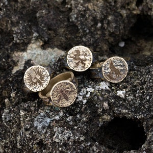 May include: Four silver rings with different designs. The rings are on a dark gray rocky surface. The designs include a lion, a wolf, a sun, and a tree.