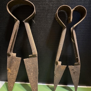 Sheep shears