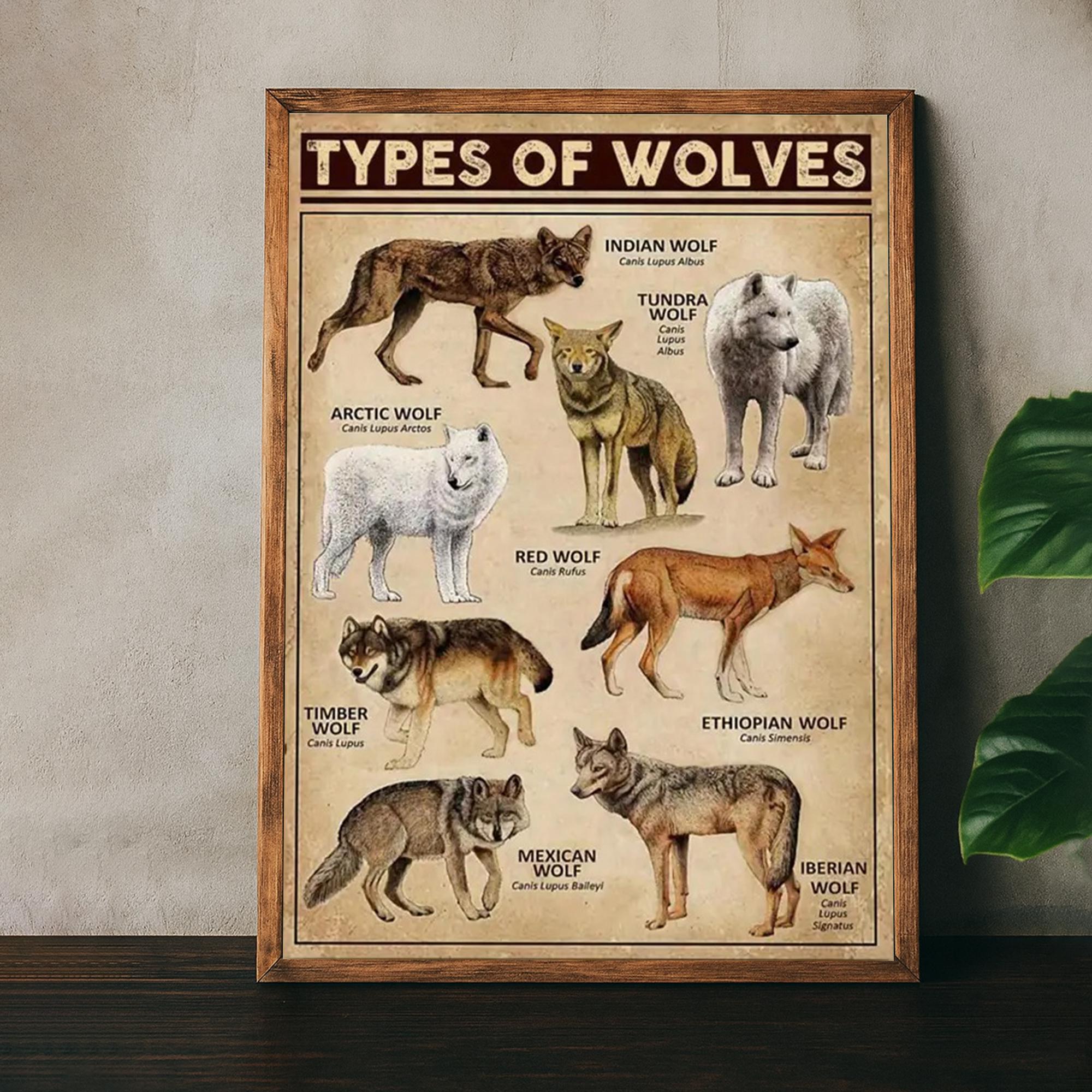 Wolf Knowledge Types of Wolf Knowledge Poster, Wolf Lover Gift, All About Wolf, Wolf ...