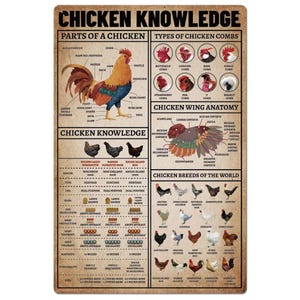 Chicken Knowledge Poster, Anatomy Of A Chicken, Farmhouse Wall Hanging, Breeds Of Chickens Knowledge, Chicken Types Poster, Farmhouse Decor