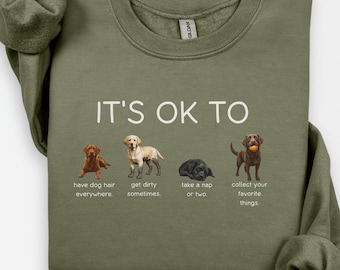 Its Ok to Dog Owner Sweatshirt, Funny Labrador Retriever Pullover for Lab Moms, Gift for Dog Lover, Labrador Pet Parent Sweater