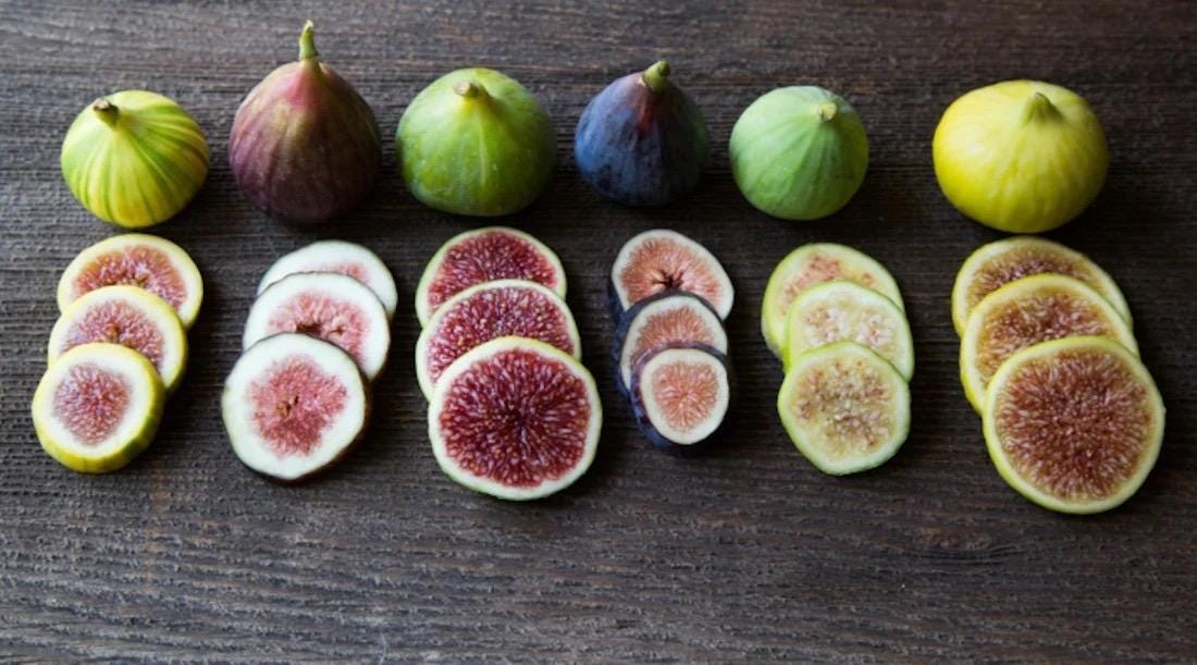 Instant Orchard Hardy Fig Variety Package (ficus Sp.) 10-20 Assorted ...
