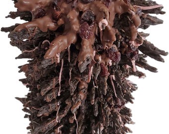 Black Forest Birthday and Wedding Tree Cake ( Sakotis ) ( Raguolis ) 16 inch