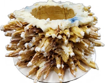 Winter Wonderland Birthday and Wedding Tree Cake ( Sakotis ) ( Raguolis ) 4 inch