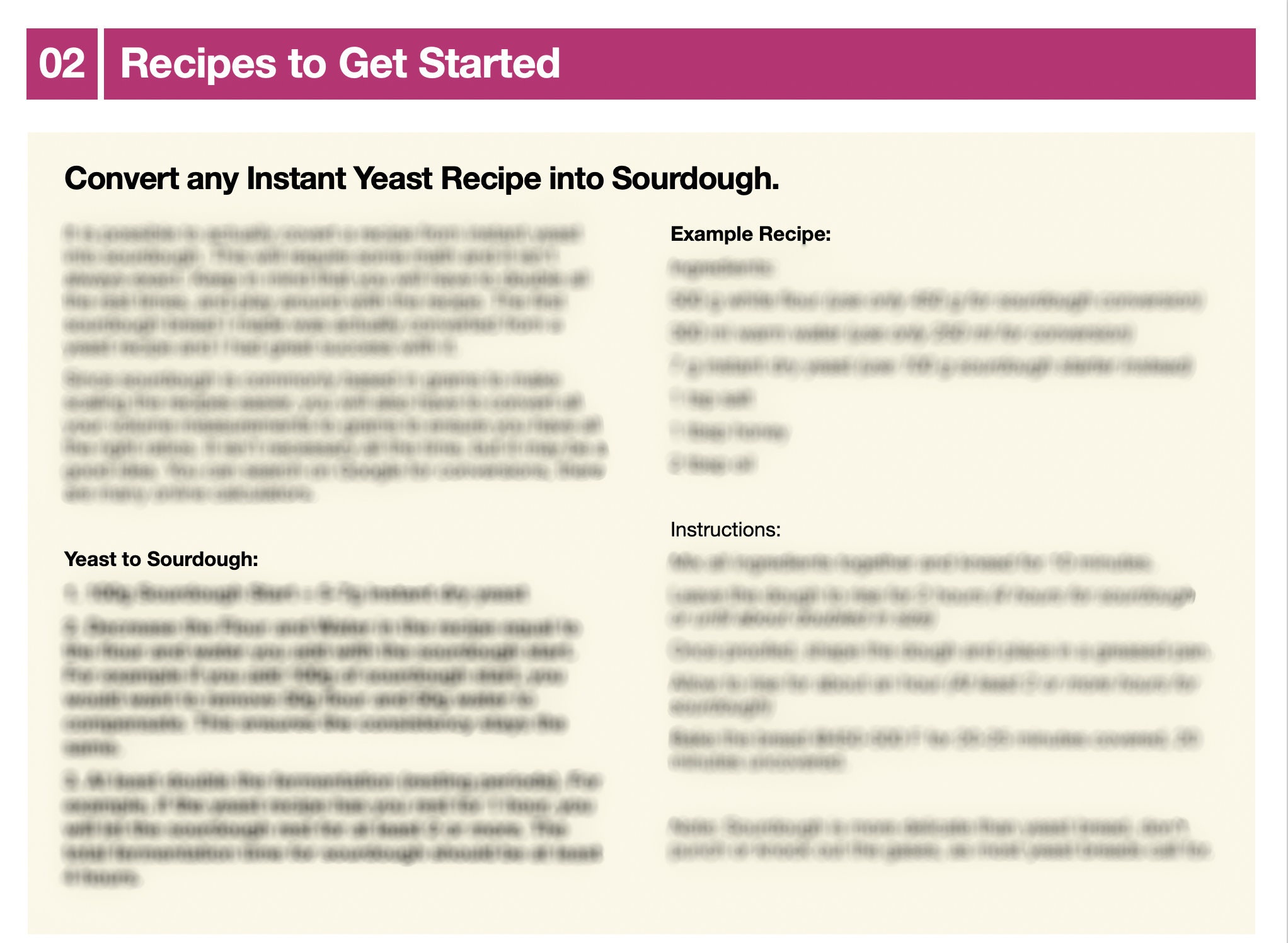 Beginner's Guide to Sourdough Baking (Spiral Bound)