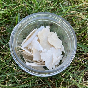 130 Year Old Dehydrated Sourdough Starter, Very Active!