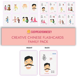 Chinese Character Flashcards (Family Pack) Pinyin, Sentences & Illustrations HSK 1