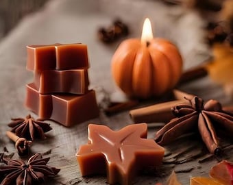 Autumn Spice Wax Melts Wax Scents