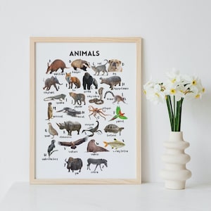 Cartel de animales a-z, tema animal de impresión de alfabeto, cartel montessori, enciclopedia de animales, arte de pared de animales para niños, descarga digital