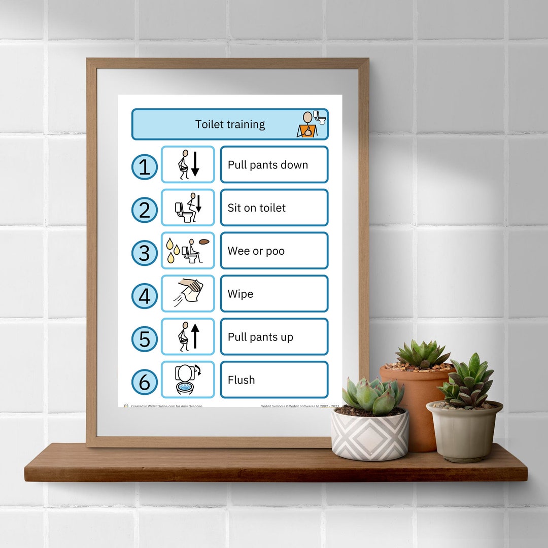 Toilet Training Pecs Visual Aids, Additional Needs Communication in ...