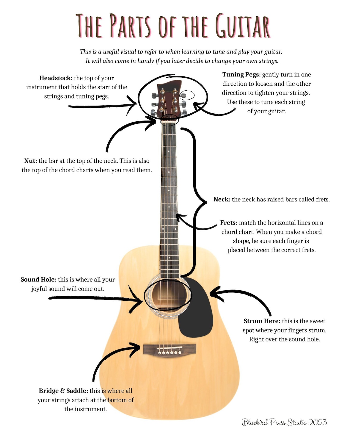 Parts of a Guitar Visual Printout - Etsy