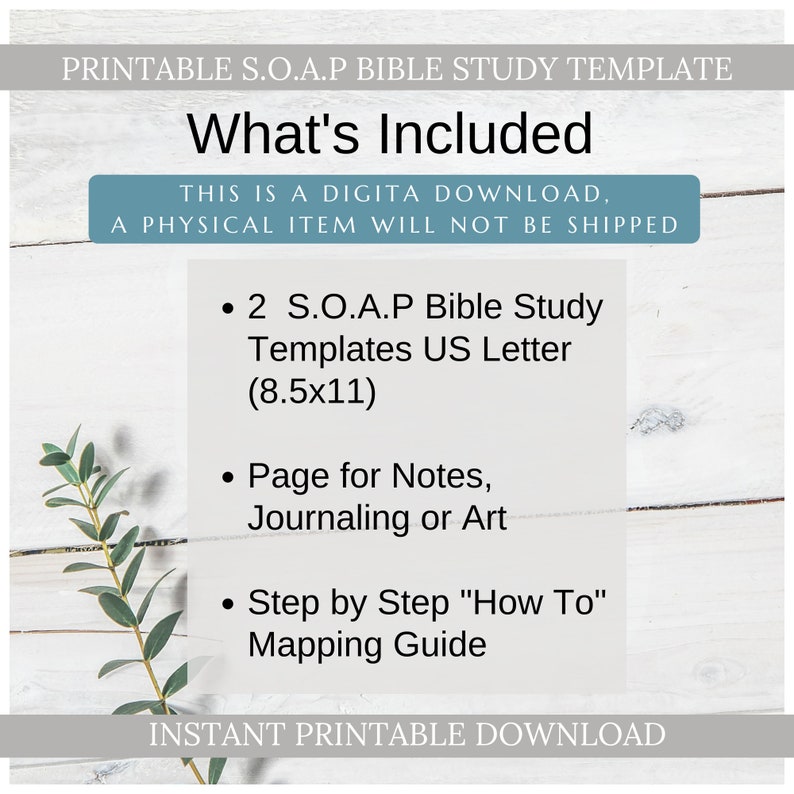 Printable Bible Study S.O.A.P Templates With 2 Different Layouts, a ...