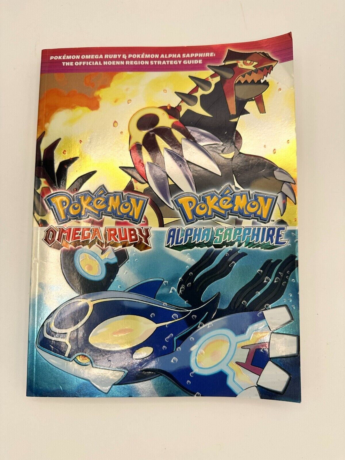 Pokedex Pokémon Omega Ruby and Pokémon Alpha Sapphire No Hoenn Region  Poster Map