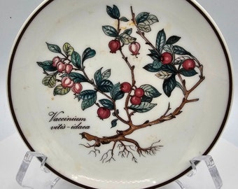 Villeroy and Boch Botanica Porcelain Tray Dish vaccinium vitis idaea Lingonberry