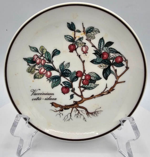 Villeroy and Boch Botanica Porcelain Tray Dish vaccinium vitis idaea Lingonberry