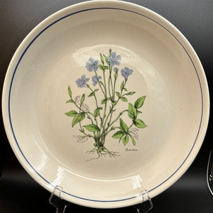Stoviglierie Pervinca Blue Flowers Hand Painted Large Charger Serving Bowl Vtg