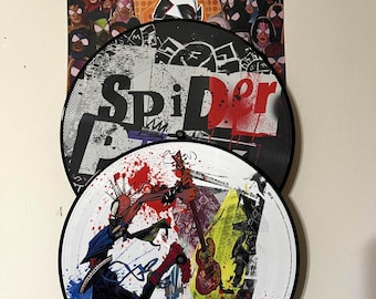 Exhibidor de pared doble para discos de vinilo (LP)