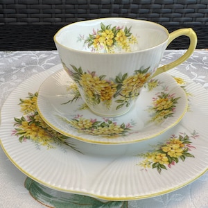 Trio Vtg ROYAL ALBERT English Bone China Blossom Time Series &quot;Laburnum&quot; Teacup, Saucer, &Salad Plate, Pristine Condition
