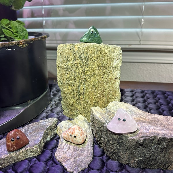 Pet Rock - Etsy