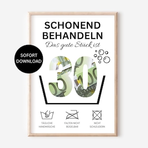 Geld cadeau 30e verjaardag traktatie zachtjes 1995 cadeau man vrouw geld grappig verjaardagscadeau PDF direct downloaden printen zelf