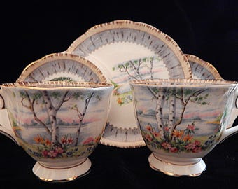 Vintage Royal Albert Bone China Silver Birch Tea Dessert/Snack Set - Pair
