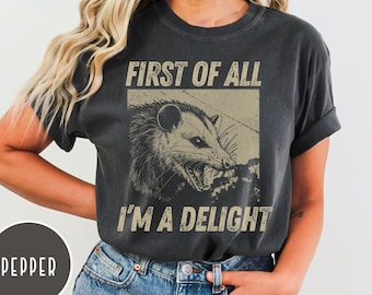 Funny Angry Possum Comfort Colors Shirt, Trendy Graphic Tee, Sarcastic Shirt, Weirdcore Tee, Vintage Inspired