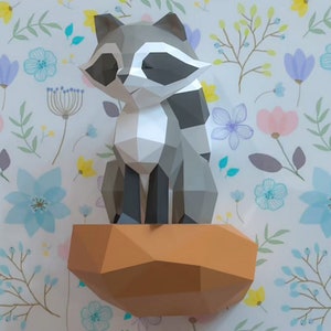 RACCOON Sitting